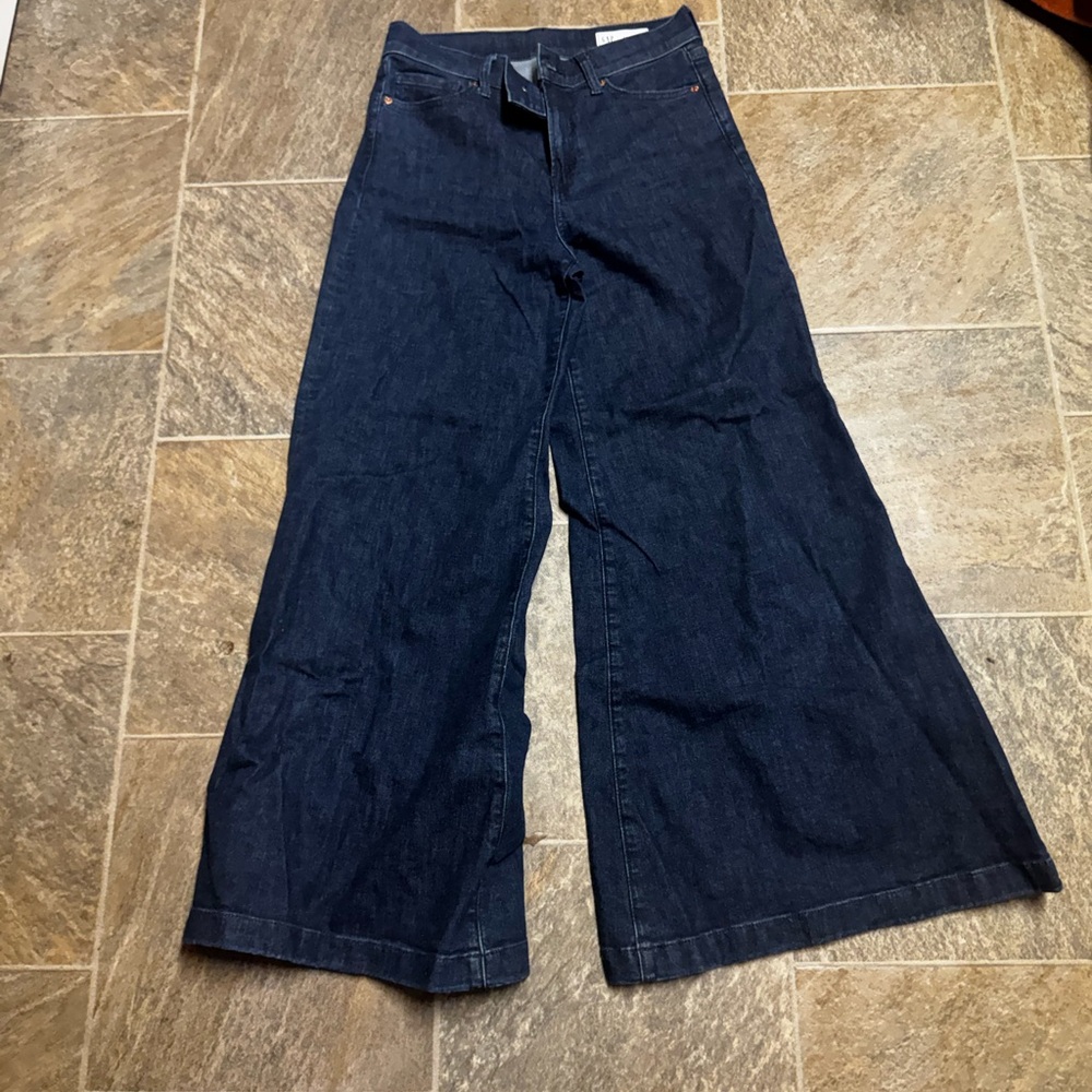GAP Dark Blue Flare Jeans